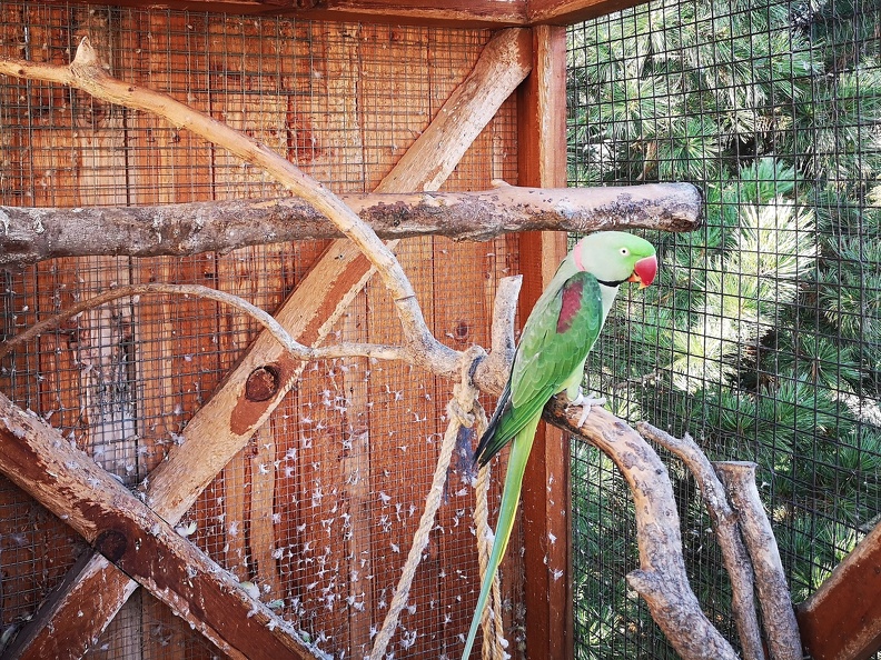 Hospicovy-park-papousek.jpg